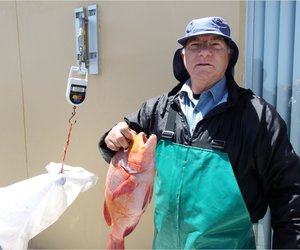 Birkenheaders se 3de Kompetisie